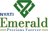 Nyati Emerald Logo